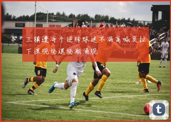 三镇遭海牛逆转球迷不满高喊莫拉下课现场退场潮涌现