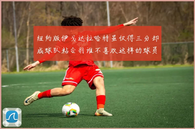 纽约版伊戈达拉哈特虽仅得三分却成球队粘合剂谁不喜欢这样的球员