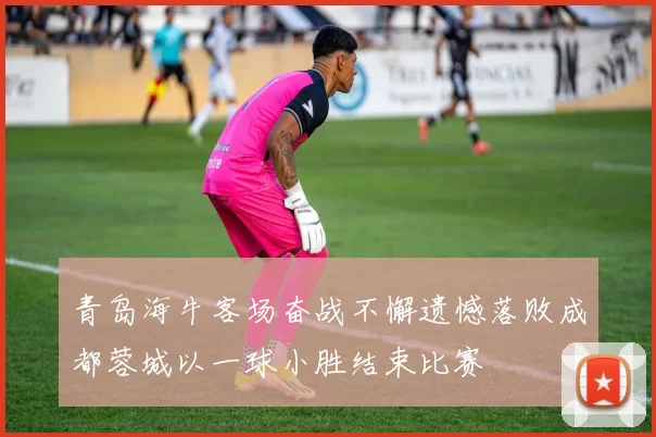 青岛海牛客场奋战不懈遗憾落败成都蓉城以一球小胜结束比赛