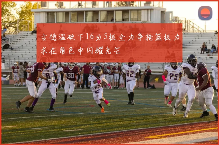 古德温砍下16分5板全力争抢篮板力求在角色中闪耀光芒